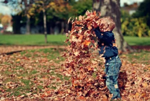 Child throwing fall leaves on lawn