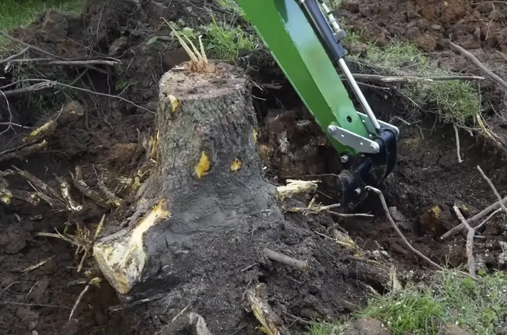 Stump Digging